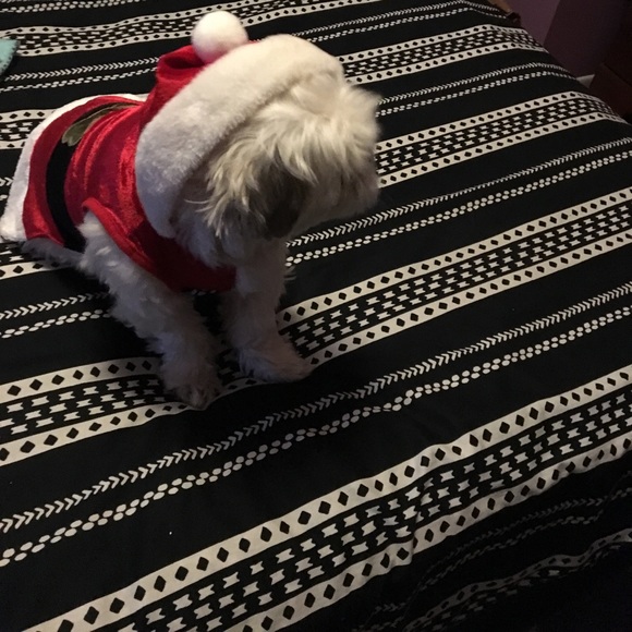 Meet your Posher, Liana - Picture 2 of 2